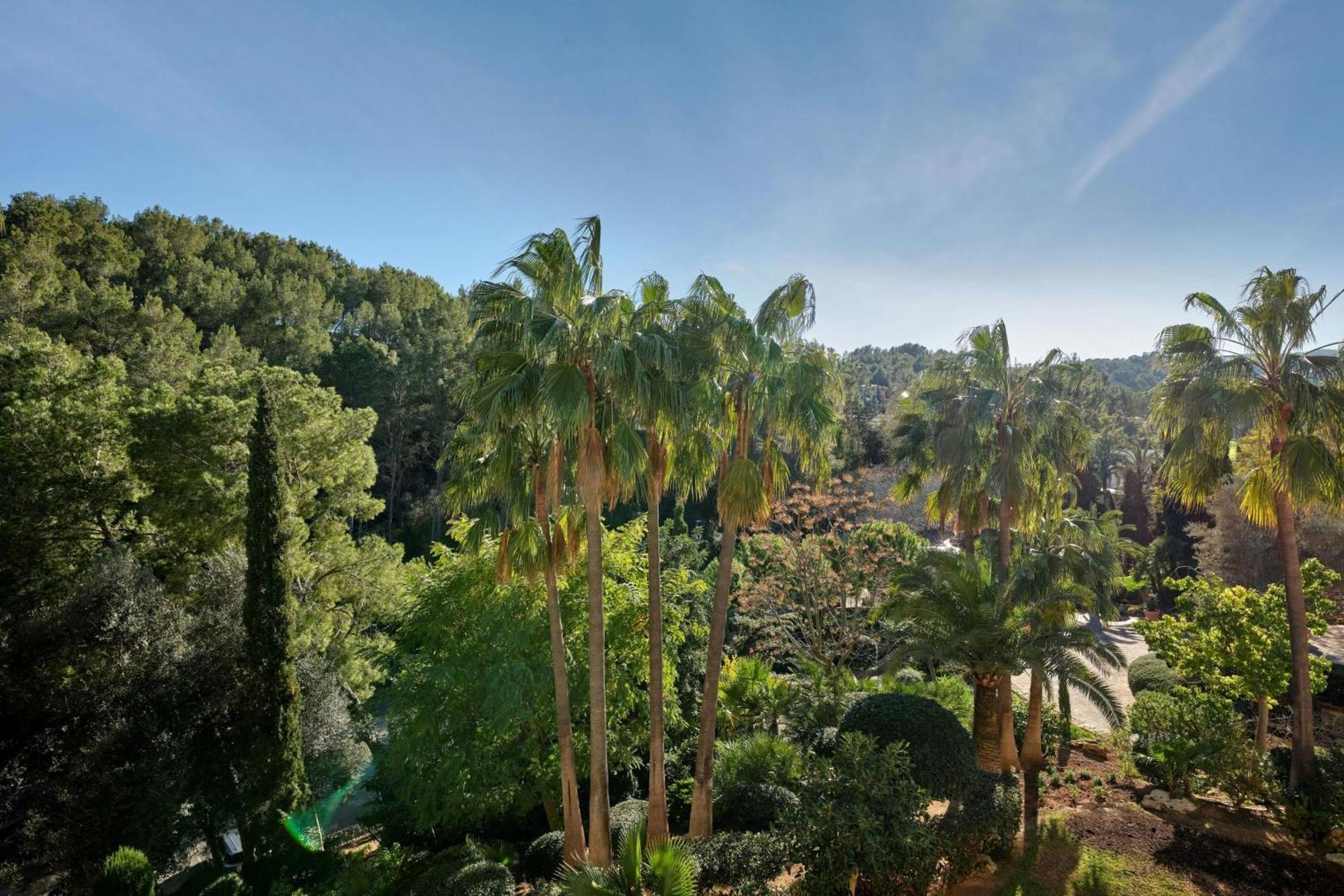 Sheraton Mallorca Arabella Golf