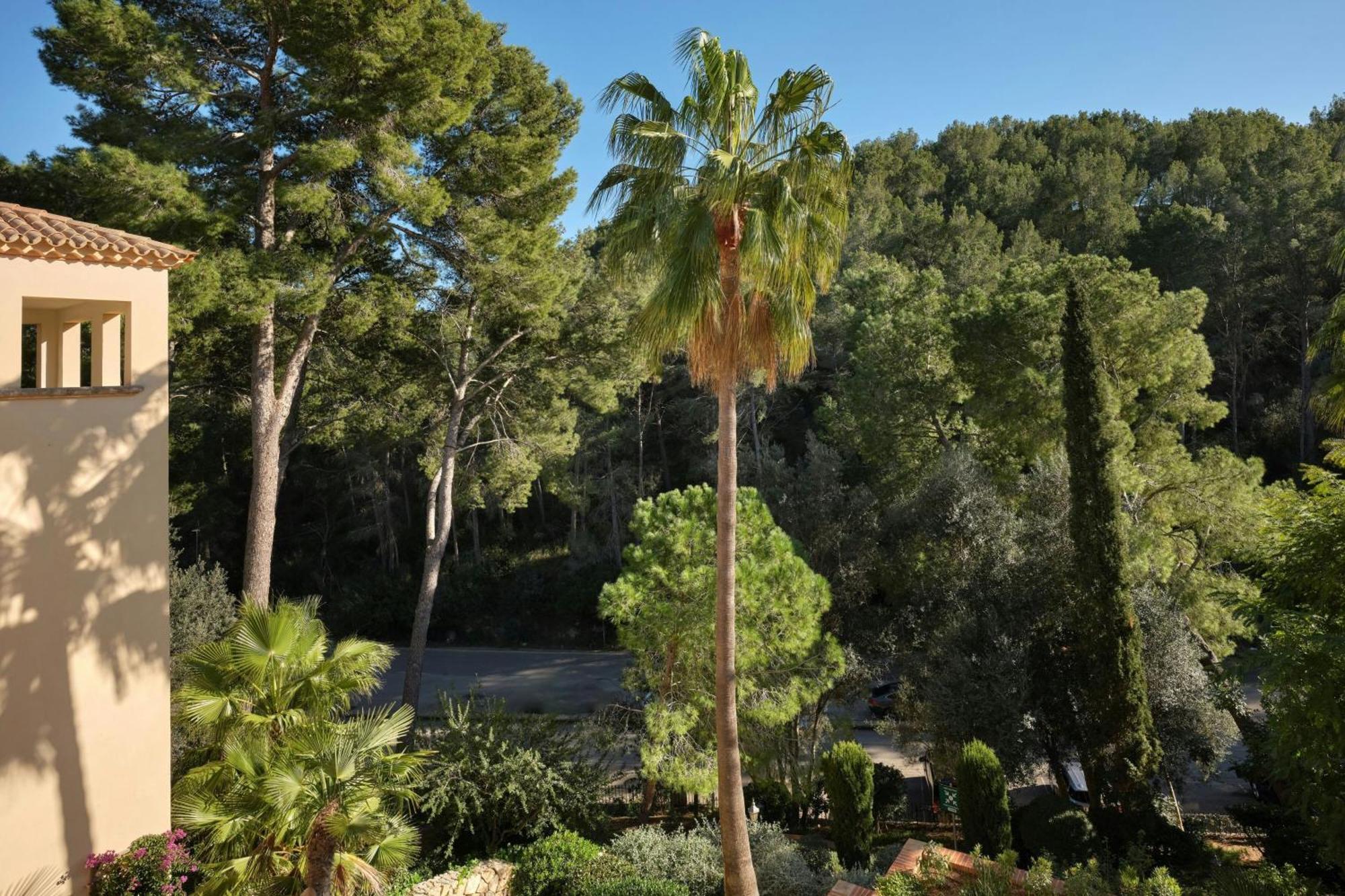 Hotel Sheraton Mallorca Arabella Golf 5*