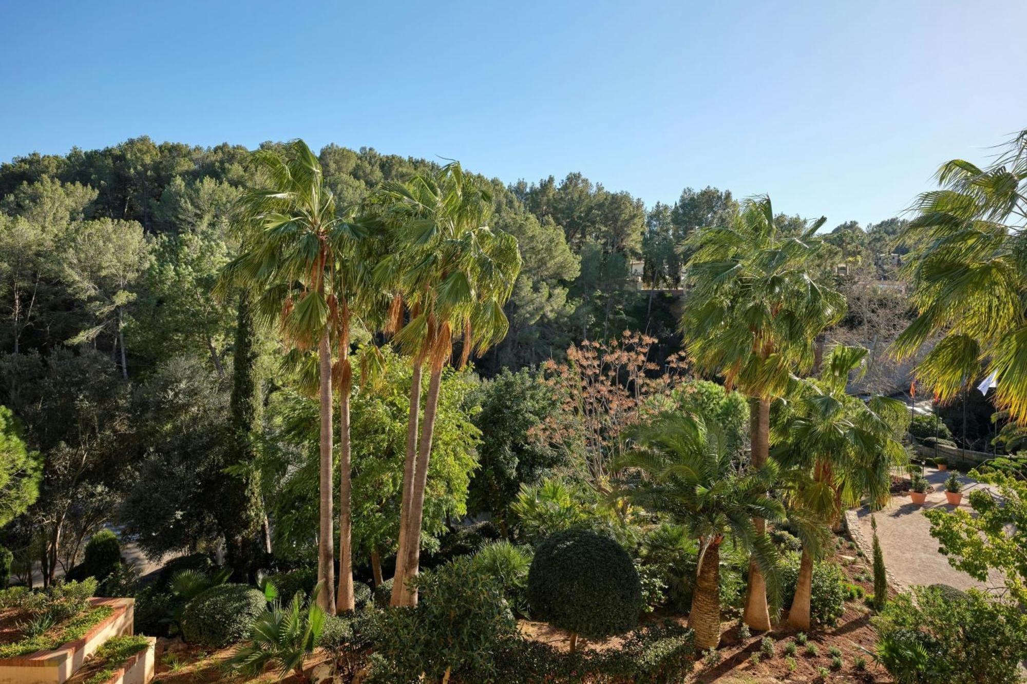 Sheraton Mallorca Arabella Golf 5*